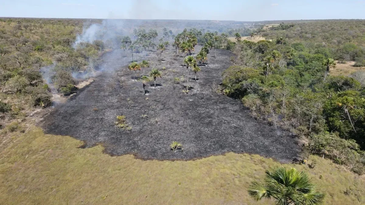 Fiscalização em Goiás amplia combate a incêndios provocados pelo uso irregular do fogo