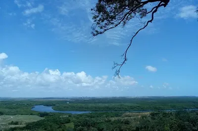 Reserva em Aruanã tinha 191 cabeças de gado em área sob embargo, diz Ibama