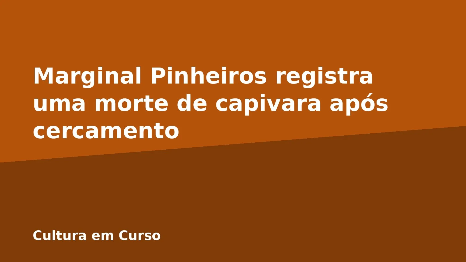 Marginal Pinheiros registra uma morte de capivara após cercamento