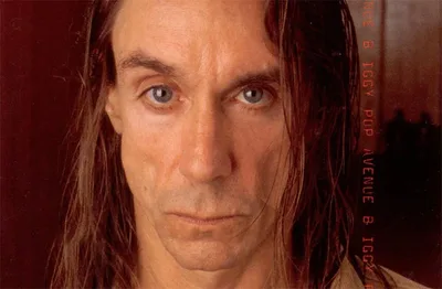 Como os Kinks ajudaram a formar o ouvido punk de Iggy Pop