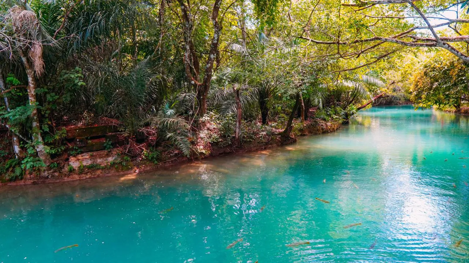 Bonito reúne rios transparentes, cavernas e 19 títulos de ecoturismo