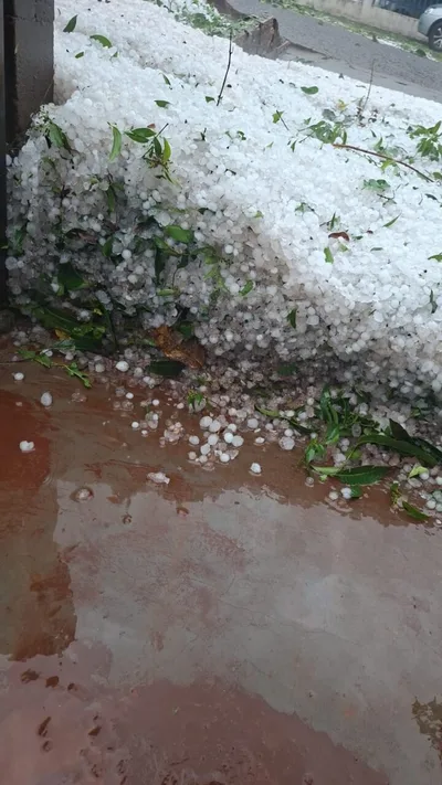 Granizo no oeste gaúcho deixa 9.517 pessoas afetadas e danifica 2.200 casas
