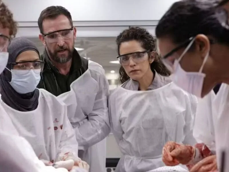 Emmy 2026 reúne “The Pitt”, “Hacks” e “Widow’s Bay” entre os destaques