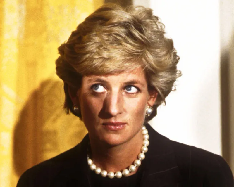 Harry consulta pessoas próximas a Diana para possível produção de TV
