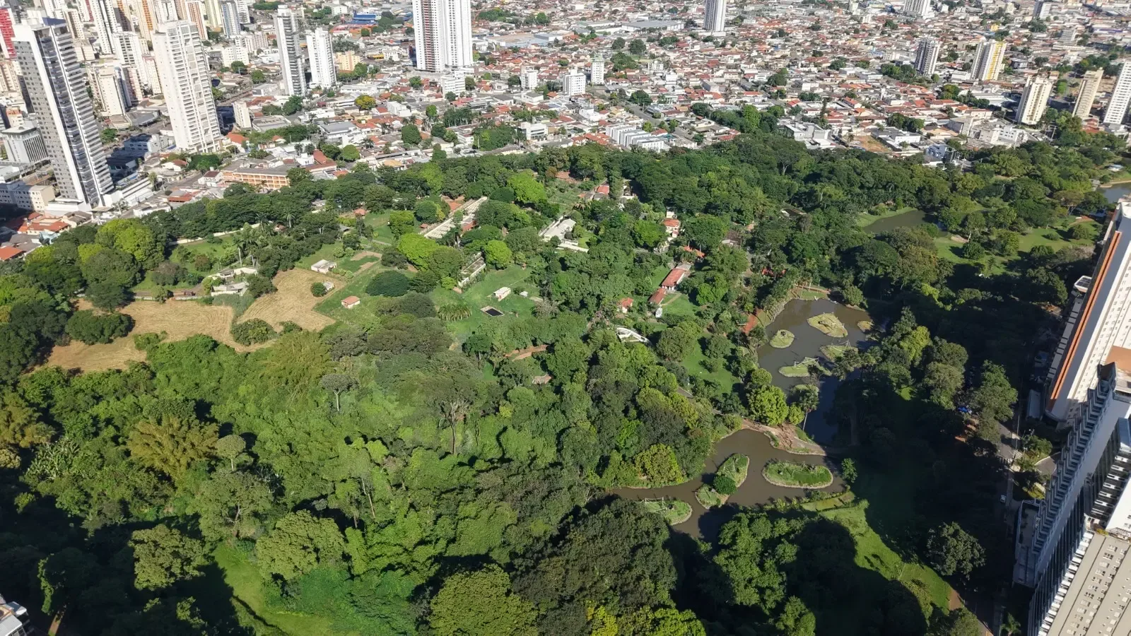 Pesquisa aponta alta aprovação de visitantes a Goiânia
