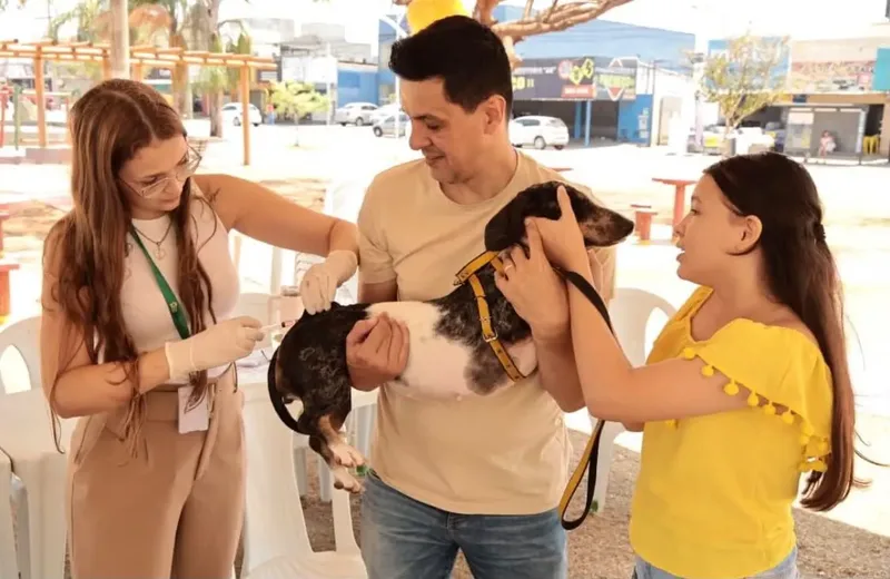 Aparecida de Goiânia oferece vacina contra raiva em 60 locais no sábado