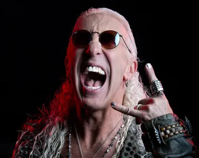 Dee Snider critica bandas que retornam sem integrantes clássicos