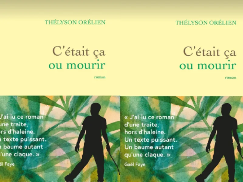 Livro de Thélyson Orélien divide detectores de inteligência artificial